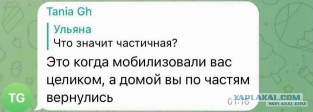 Банки должны дать кредитные каникулы мобилизованным — ЦБ РФ