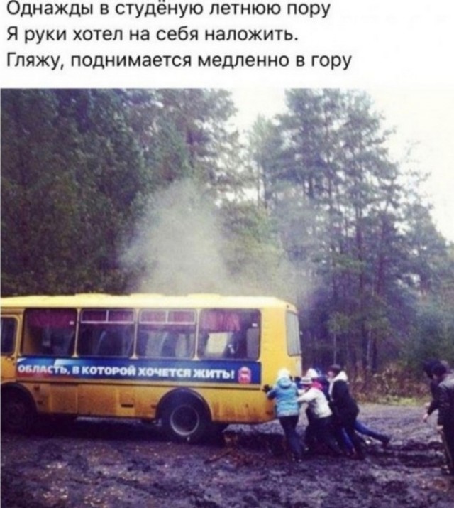 Так себе картинки 12.12.21