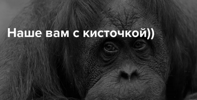 Победная поступь идиотизма по планете – том 10