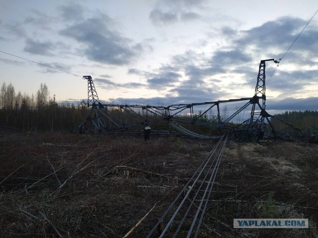 В Ленинградской области подорвали опору ЛЭП