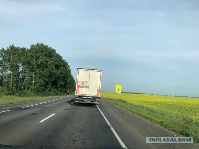 Просто п@доры