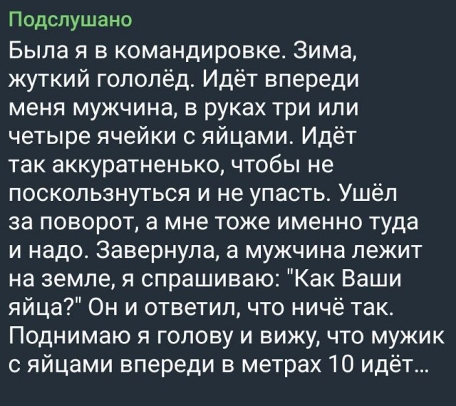 Забавные комментарии из социальных сетей (20.11.23)