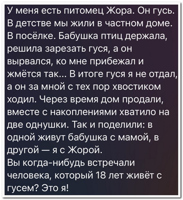 Забавные комментарии из социальных сетей (18.12.23)