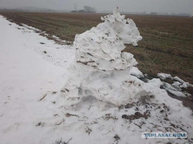 Жизнь домашнего приюта для котеек 482
