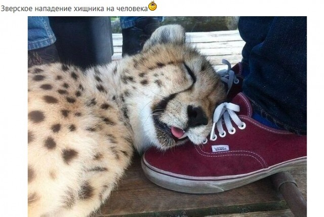 Картинки неразобранные