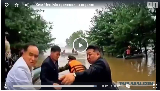 Ким Чен Ын врезался в дерево