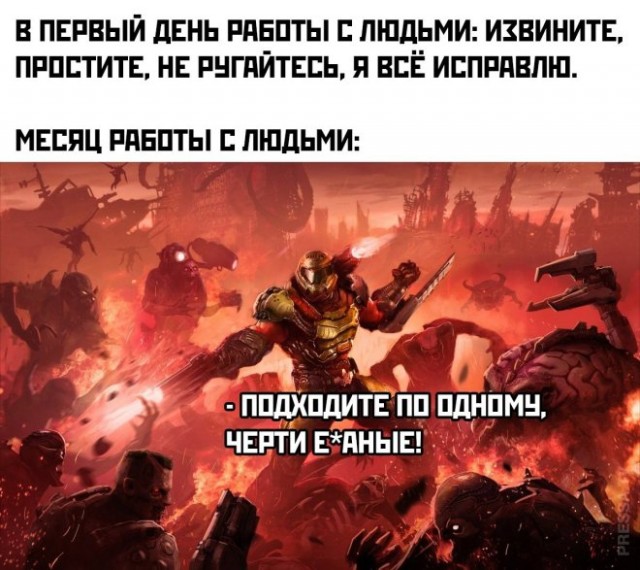 Немного забавных картинок от 18.08.2024