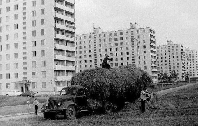 Фотографии из прошлого нашей страны – 81