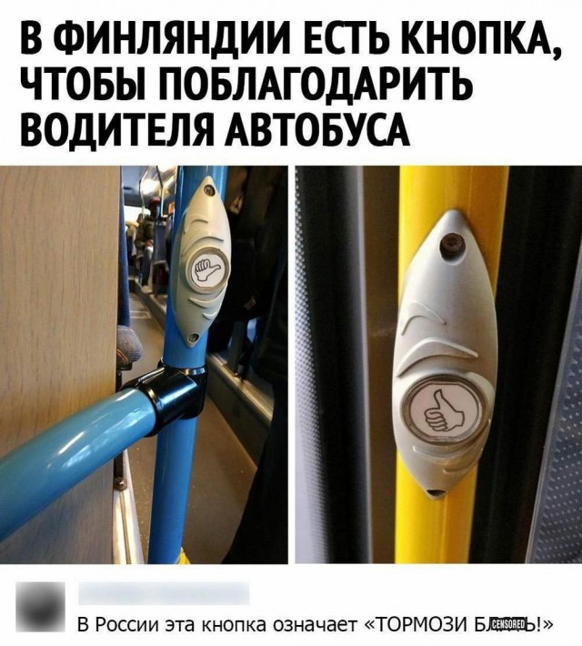 Нуштош 17.01.2025. Чем кажутся совы (s3e2)