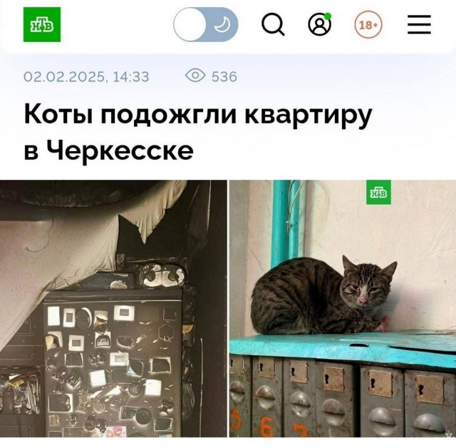 Молодцы детки!