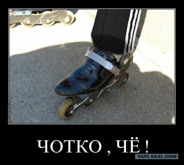 Вырежь и сохрани