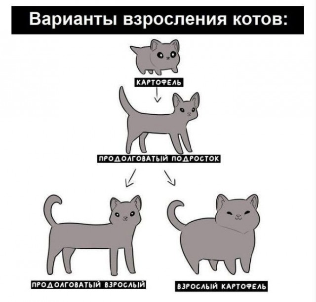 Завалялось тут случайно немного забавных картинок