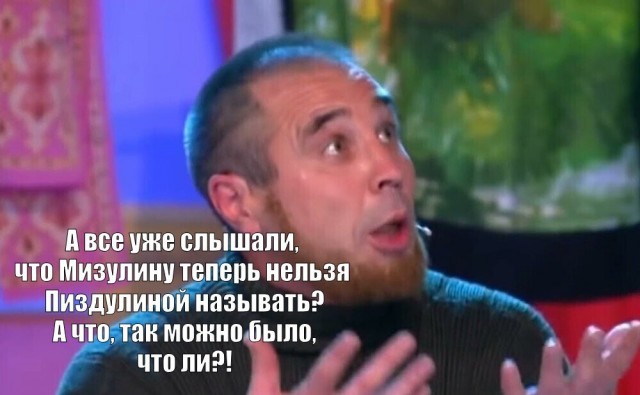 166 доносов Мизулиной.