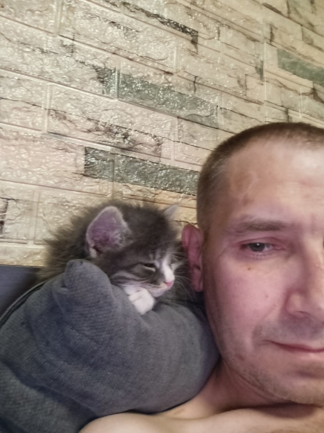 Поездка в новую жизнь