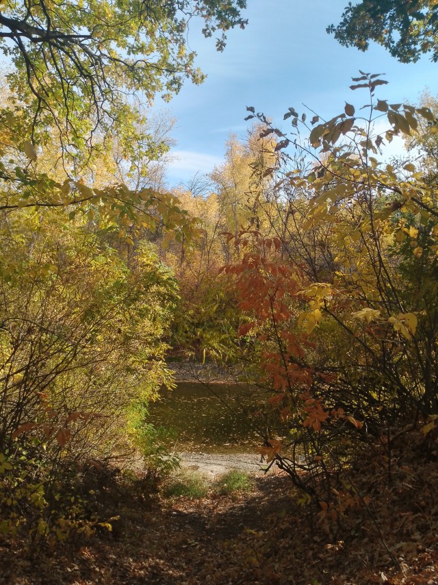 Не могу не поделиться.