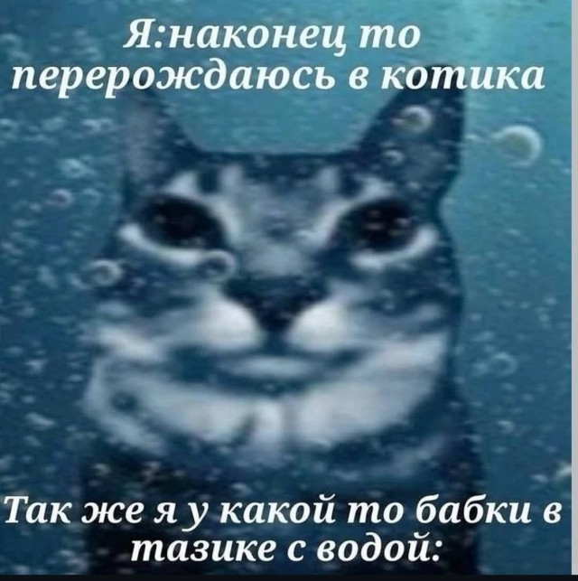 Так себе картинки 04.11.25