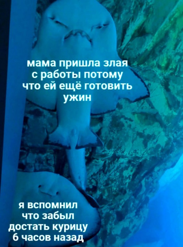 Веселые картинки в понедельник (08.01)