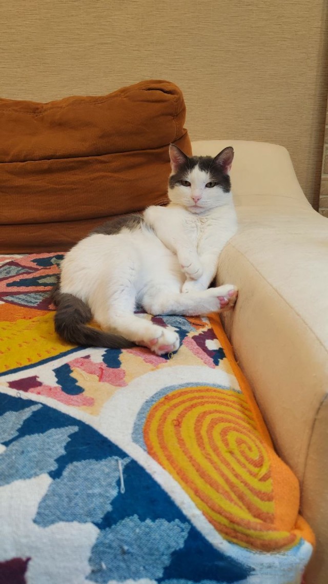 Хищник уснул с добычей