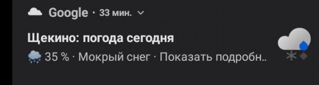 Три мифа о выживании в лесу, которые могут стоить жизни