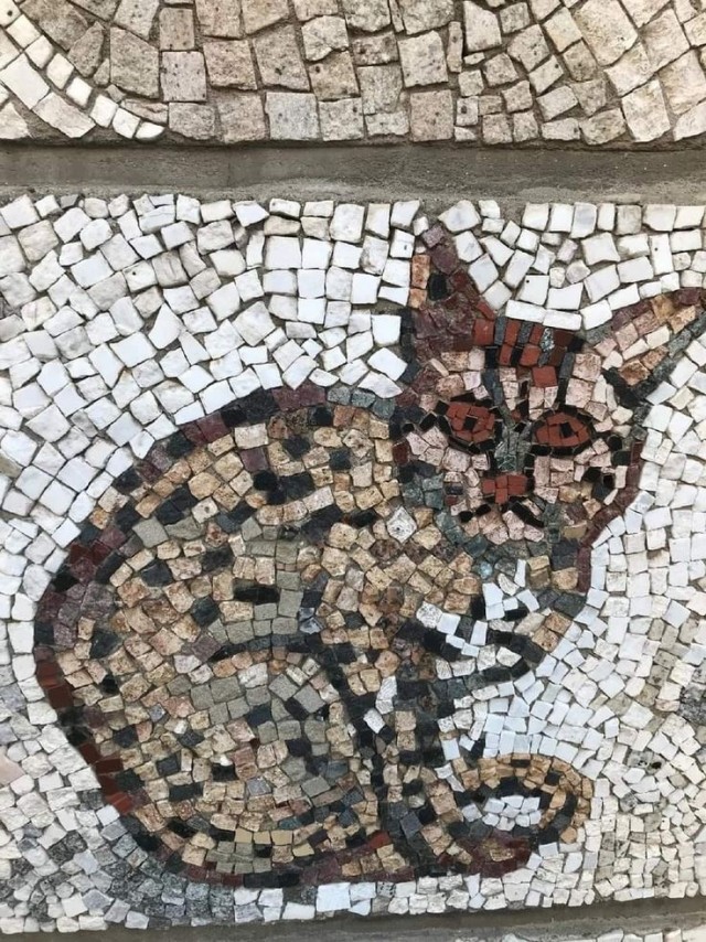 Коты на древнеримских мозаиках
