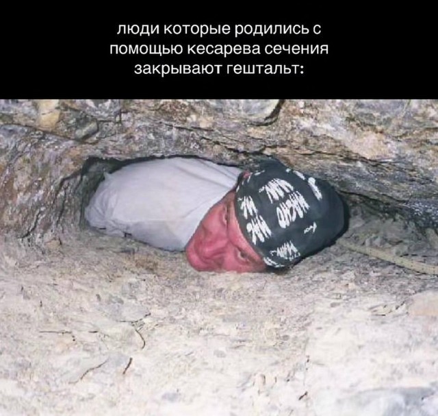 Картинки для деградации 228 (разной степени свежести)