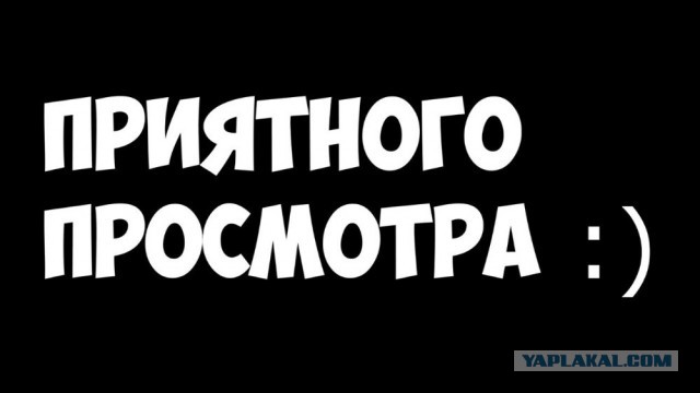 Довыеживался