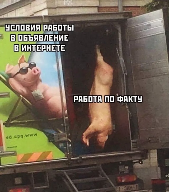 Картинки для деградации 259 (разной степени свежести)