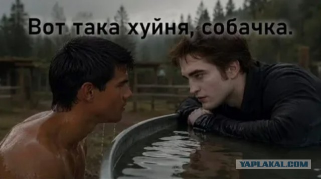 Так и живём