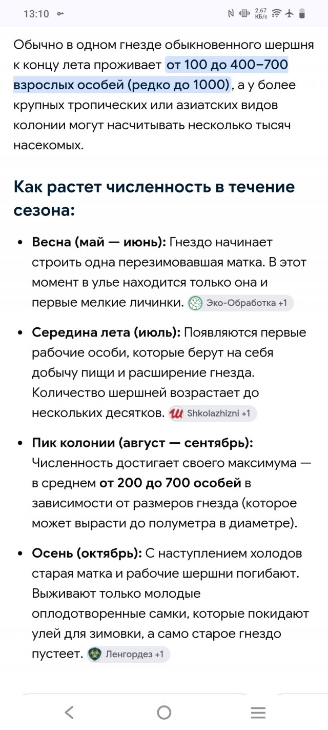 Холостякую и что заметил