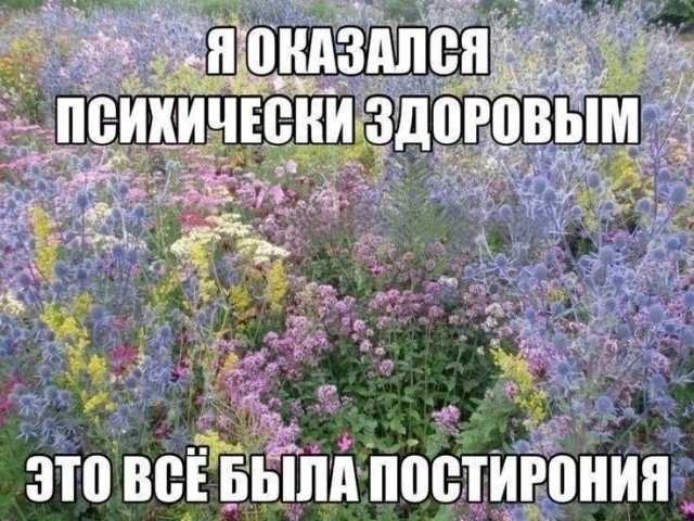 День психа отмечается сегодня