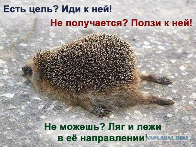 Капля позитива