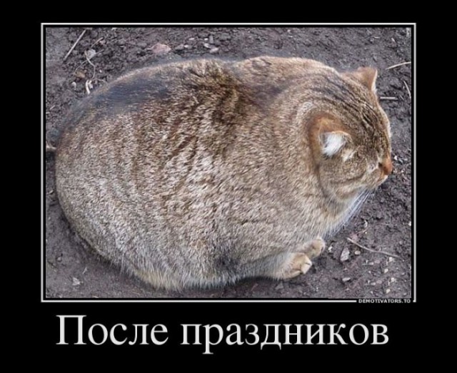 Горячие демотиваторы
