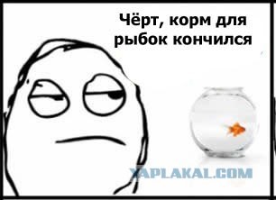 Корм для рыбок кончился