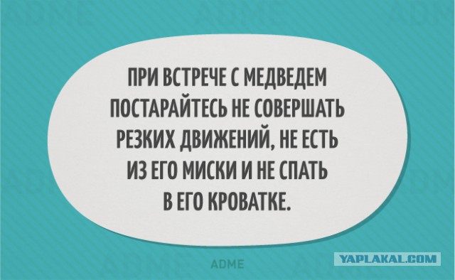 Картинки из интернета