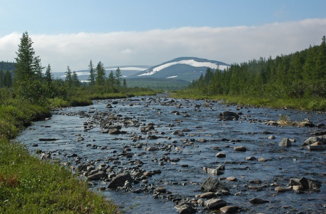 Деревенская Америка