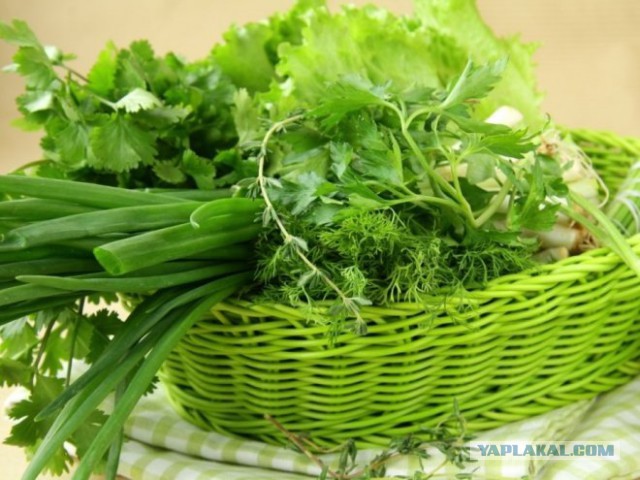 Разница между Россией и Беларусью за 50 секунд