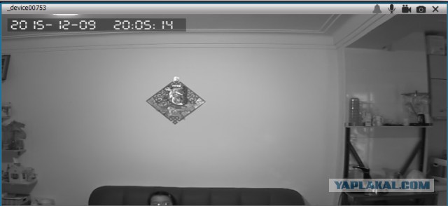 За что я люблю китайцев