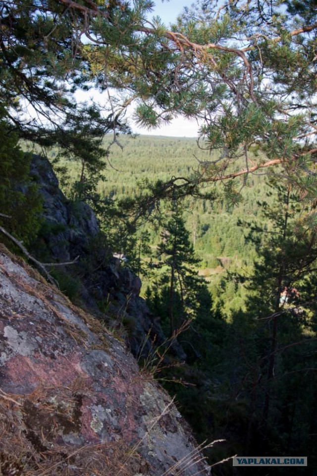 Две недели впечатлений.