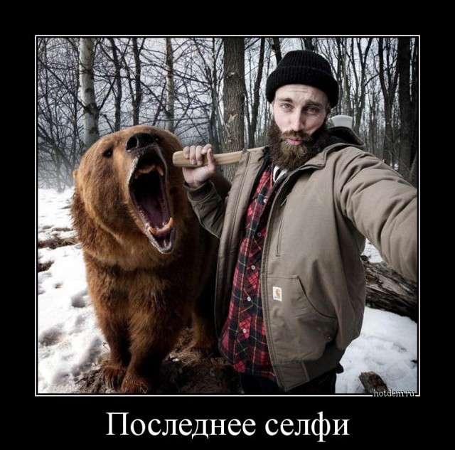 Медведь играет с человеком, центр по уходу за животными