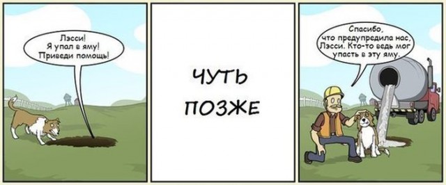 Новая подборка картинок