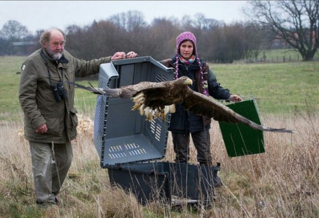 Забавные и интересные фотографии, сделанные в нужный момент
