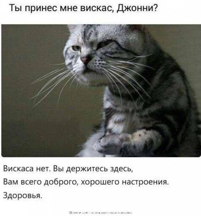 Ударная доза тупежа на начало недели