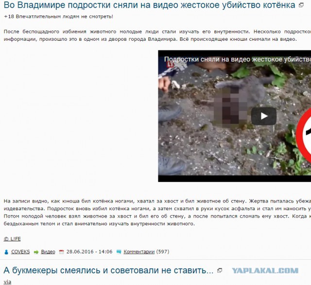 Во Владимире подростки сняли на видео жестокое убийство котёнка