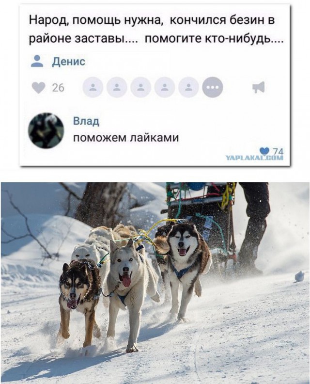 Смешные комментарии из социальных сетей 16.12.2016