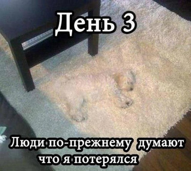 Картинки из инета