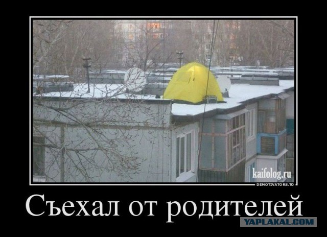 Адский трэш и вакханалия! Строго 16+