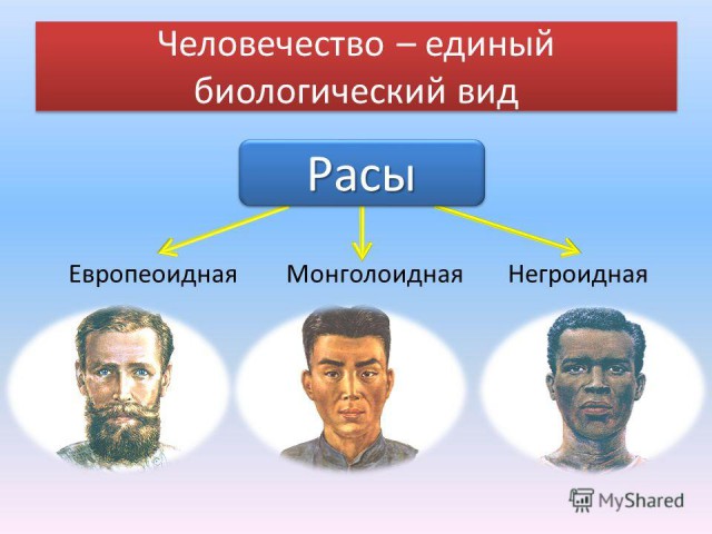 Футбольный клуб. Сезон 2017-2018