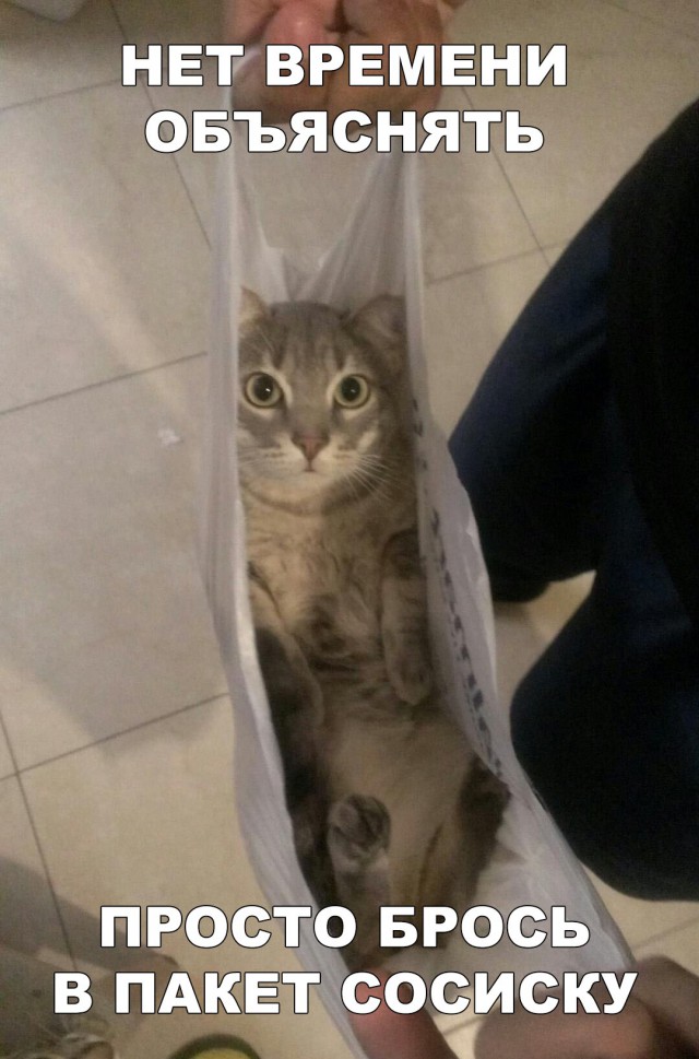 Нестандартный юмор