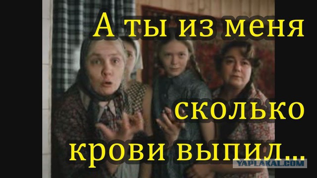 Женская солидарность