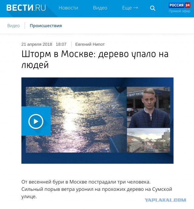 В Москве из-за шторма пострадали 12 человек
